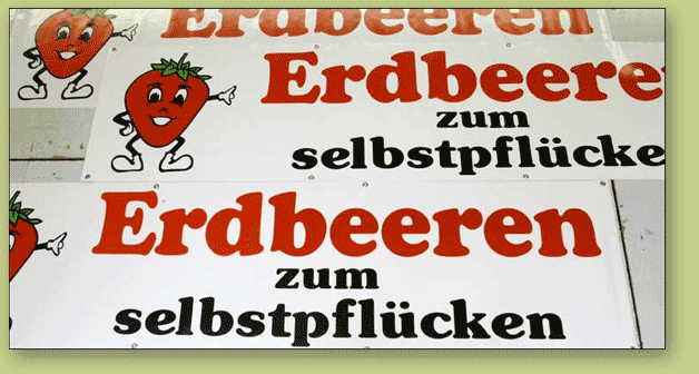 Erdbeerbanner